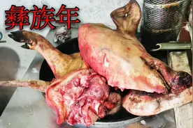 四川大凉山彝族人就是好豪爽，吃肉都不带小的，外地人看着都害怕视频封面