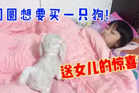 6岁小孩想要养狗，妈妈送女儿一只！女儿：为什么这只狗不会叫？视频封面