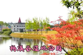 成都杨溪谷湿地公园，是我见到的最美的公园视频封面
