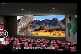 “熊孩子”踢坏银幕后续来了…视频封面