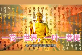 修行那么久，你知道什么是菩提吗？视频封面