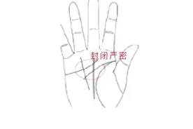 富贵女人手相有什么特别之处！视频封面