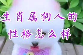 生肖属狗的人性格怎么样视频封面
