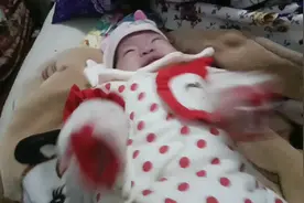 穿尿不湿的不好惹视频封面