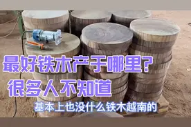 都说越南铁木菜板好，今天才知道好铁木是产于老挝，很多人想不到视频封面
