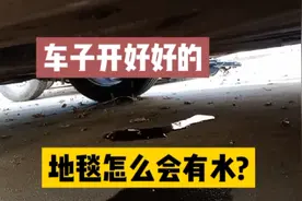 海口龙悦新城的车主，车底下滴水，是漏防冻液还是漏油，怎么辨别视频封面