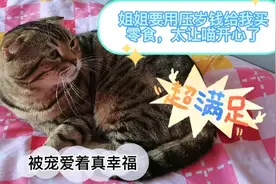 小姐姐收到压岁钱问猫咪想吃啥，两一问一答，猫咪瞬间觉得好幸福