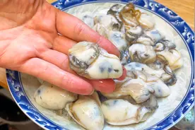 新鲜生蚝别再只会煮汤？大厨分享广式特色做法：煎焗生蚝视频封面