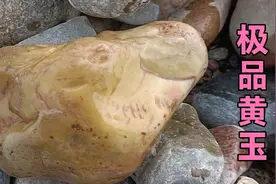 雨后湖边捡石意外捡到罕见黄河黄玉，晶莹油润玉中极品