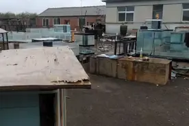 下雨了耽误做鱼缸吗，给大家详细解答一下