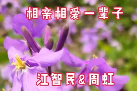 江智民&周虹《相亲相爱一辈子》多么幸福，让我向往，让我陶醉。