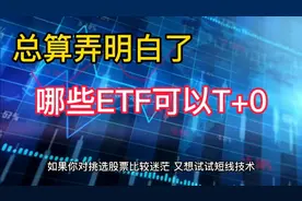 今天总算弄明白了，这些ETF品种才可以T+0，交易还免印花税，收藏视频封面