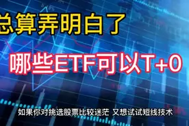 今天总算弄明白了，这些ETF品种才可以T+0，交易还免印花税，收藏视频封面
