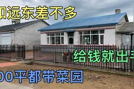 实拍东北农村现状，野鸡乱飞居民区都是空房，和远东无人区一样视频封面