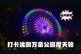 辽宁省最高摩天轮，高88米，30元一人转一圈16分钟，体验感觉不值视频封面