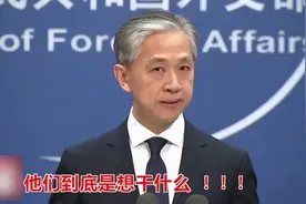 可气、可恨、可悲！视频封面