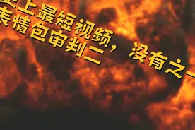 表情包审判二视频封面