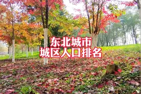 东北城市城区人口排名特大三座 大型七座 中型十三座看看都有谁视频封面