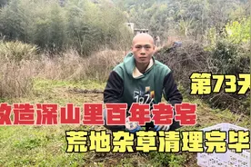 改造深山里百年老宅第73天，菜园杂草清理完毕，可以种菜啦！视频封面
