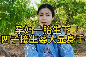 孕妇一胎生下四子，接生婆大显身手！视频封面