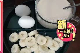 轻断食吃一天香蕉鸡蛋牛奶掉了2.5斤，今天继续吃，连吃三天试试视频封面