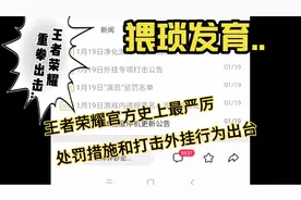 王者荣耀官方最新打击违规外挂说明.史上最严，支持＃王者荣耀