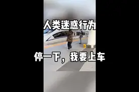 人类迷惑行为，停一下，我还没上车#搞笑配音#搞笑视频#搞笑视频封面