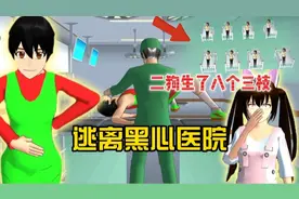 樱花校园模拟器:逃离黑心医院！二狗拉稀居然生出八个三枝娃娃？