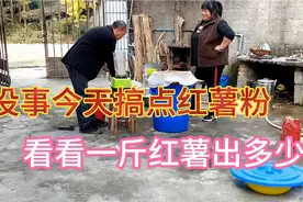 今天来看看一斤红薯能出多少粉，我们来试试，这几天天气不错。视频封面