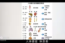 你睡着后身体器官在干嘛？别再熬夜啦~~视频封面