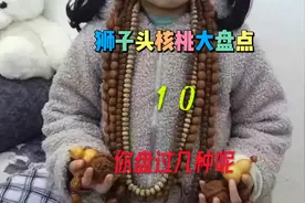狮子头核桃大盘点之十视频封面