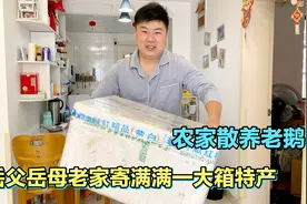 岳父母老家寄满满一箱特产,虽相隔千里仍心系子女,可怜天下父母心视频封面