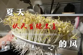 三伏天生豆芽棒棒哒一一家庭自制豆芽小视频视频封面