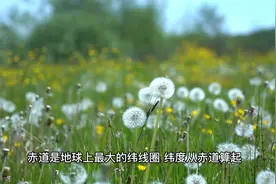 每日百科--赤道视频封面