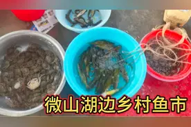 微山湖现在盛产什么鱼？到这个湖边鱼市逛逛吧！青一色野生鱼