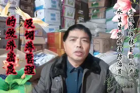 泥鳅的放养密度及饲养管理视频封面
