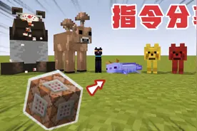 游玩好久仍找不到的稀有生物，几条指令让你全获得！