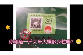 一斤大米多少粒？我来告诉你