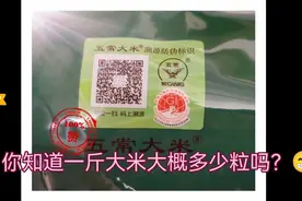 一斤大米多少粒？我来告诉你视频封面