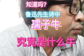 鲁迅先生诗中的孺子牛究竟是什么意思？原来它是出自这个典故！视频封面