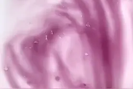 女生一定要背下来的救命知识视频封面