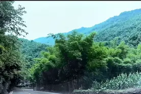 懂得拐弯，才能避开路上所有的障碍，一直通往人生目标的道路上。视频封面