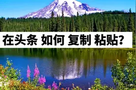 如何把头条好文字，复制转发给好友？简单实用，老年人可以试试视频封面
