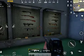 和平精英：全部限单枪测试。