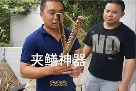 黄鳝不好抓，两兄弟自制夹鳝神器，准备晚上去田里照夜黄鳝。视频封面