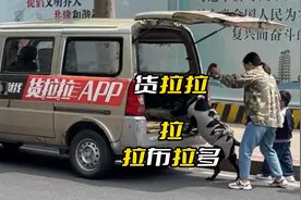 货拉拉  拉不拉  拉布拉多？视频封面