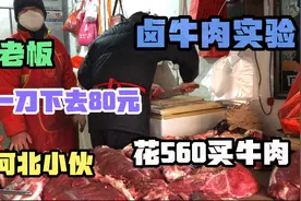 石家庄小伙花560买鲜牛肉做实验，15斤鲜牛肉卤熟后变多少斤熟肉视频封面