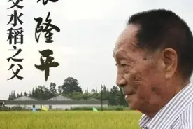 大饥荒来了，袁隆平院士终于发现了杂交水稻
