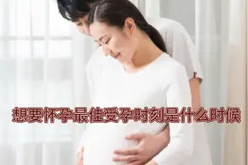 一天当中，最佳受孕时刻你得知道，以免错过好时机视频封面