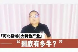 河北大隐隐于县的8大特色产业，到底有多牛？视频封面
